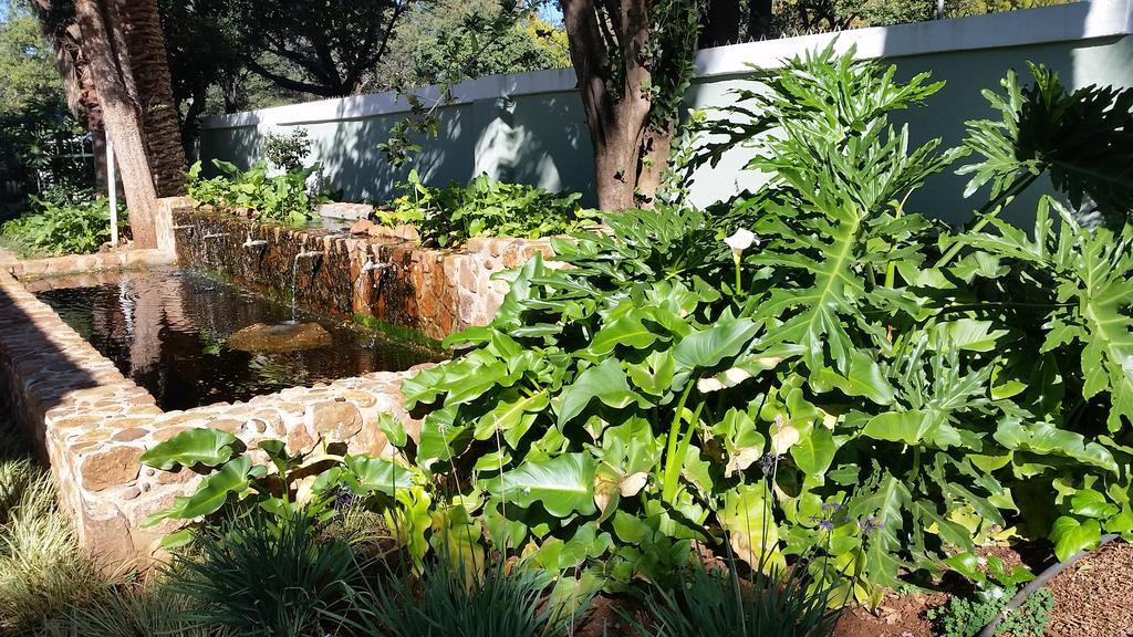 Bauhenia Guesthouse Potchefstroom Dış mekan fotoğraf